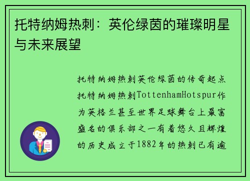 托特纳姆热刺：英伦绿茵的璀璨明星与未来展望