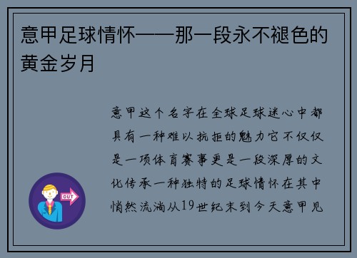 意甲足球情怀——那一段永不褪色的黄金岁月