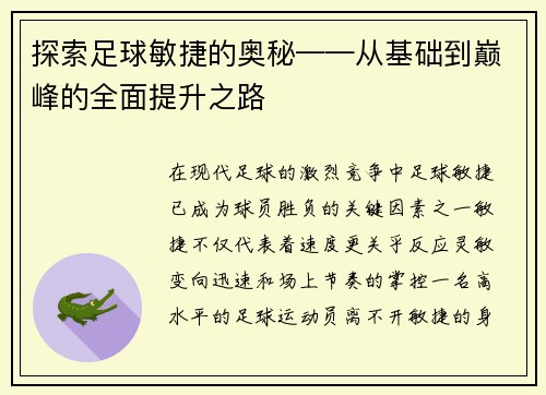 探索足球敏捷的奥秘——从基础到巅峰的全面提升之路